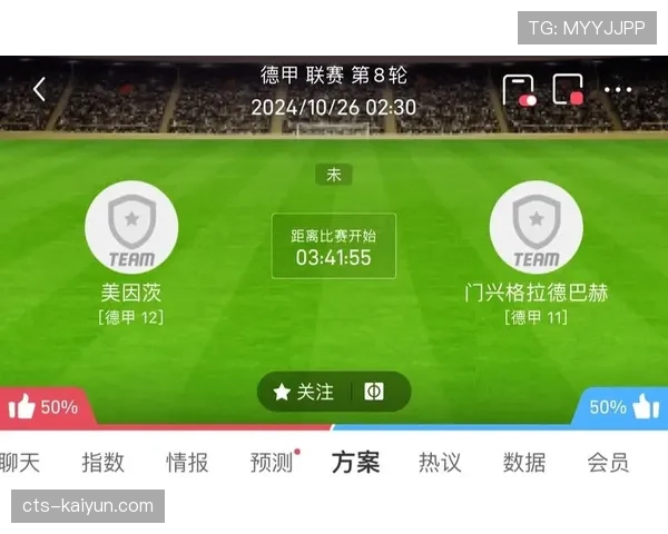 门兴vs美因茨比赛因球迷投掷烟火中断十分钟